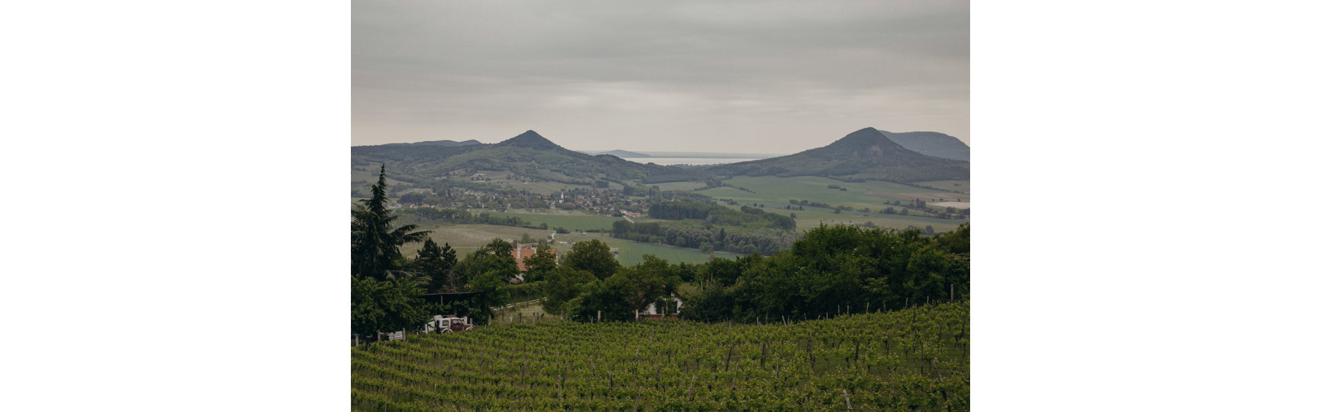 Pivnica Von Beőthy 