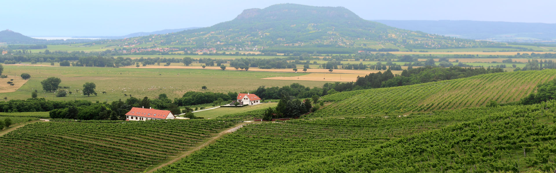 Villa Tolnay